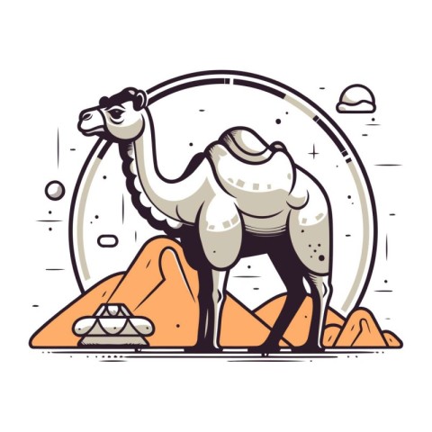 Camel in the desert. Vector illustration of a camel in the deser