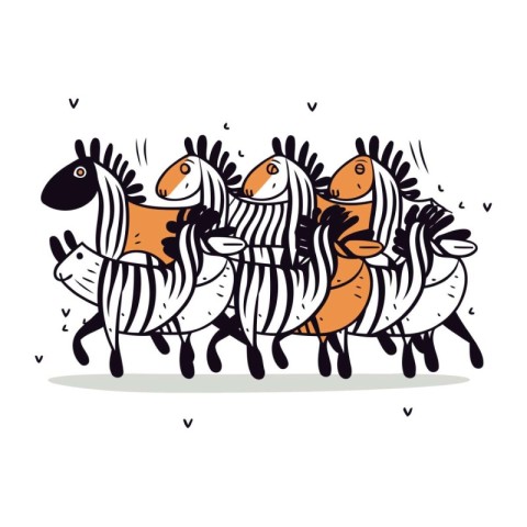 Zebra family. Vector hand drawn illustration of a group of zebra