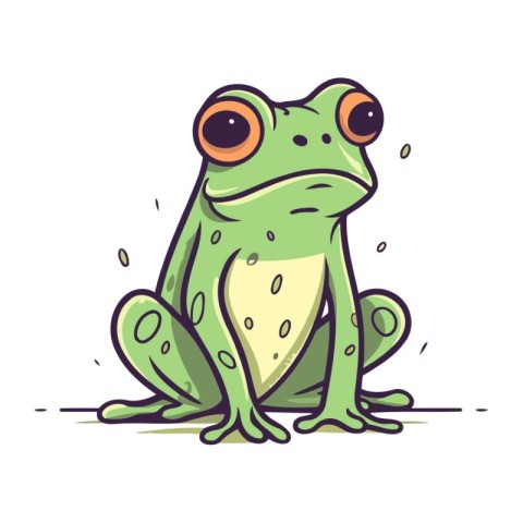 Frog. Vector illustration. Isolated on a white background.