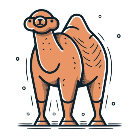 Camel. Vector illustration of a camel on a white background.