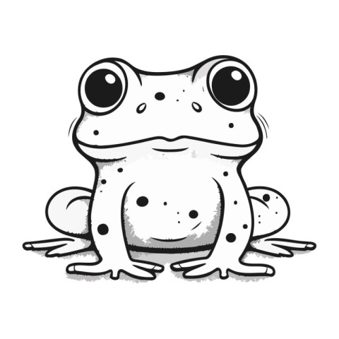 Frog on a white background. Vector illustration in cartoon style