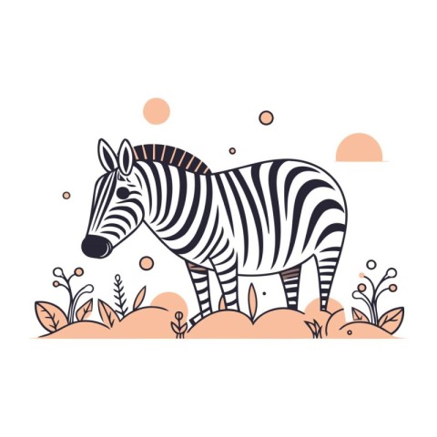 Zebra vector illustration in flat style. Zebra on the background