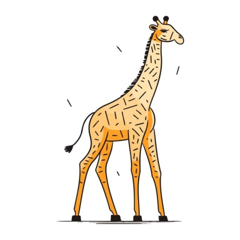 Giraffe. Hand drawn vector illustration isolated on white backgr