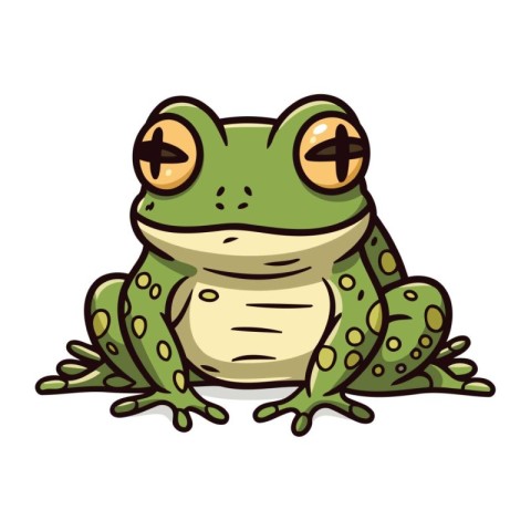 Frog isolated on white background. Vector illustration of cartoo