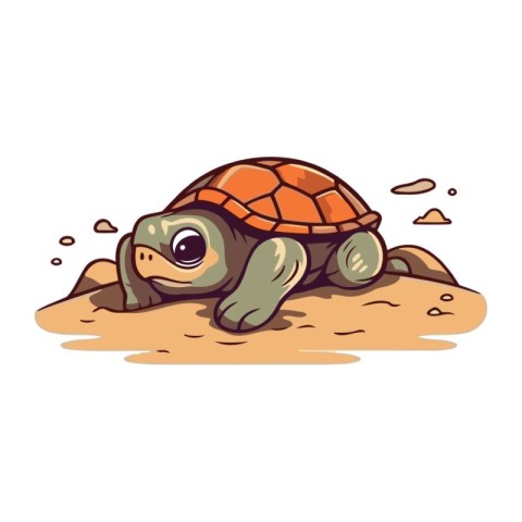 Cute cartoon turtle. Vector illustration isolated on a white bac