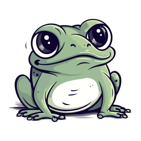 Frog. Vector illustration of a cartoon frog. Isolated on white b