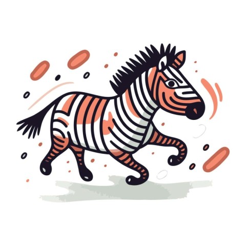 Zebra vector illustration. Hand drawn doodle zebra.