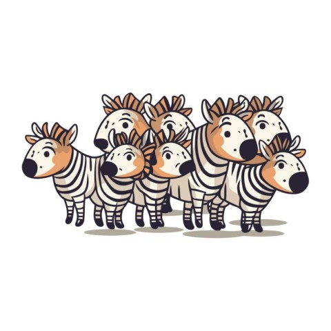 Zebra family. Vector illustration of a group of zebras.