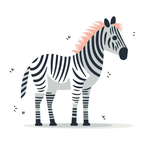 Zebra isolated on white background. Vector illustration in flat