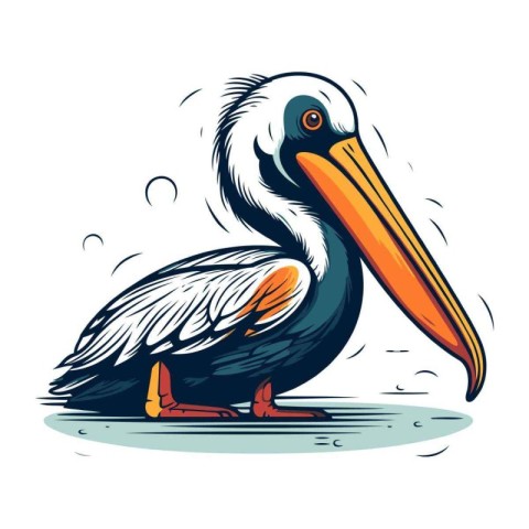 Pelican vector illustration isolated on white background. Cartoo