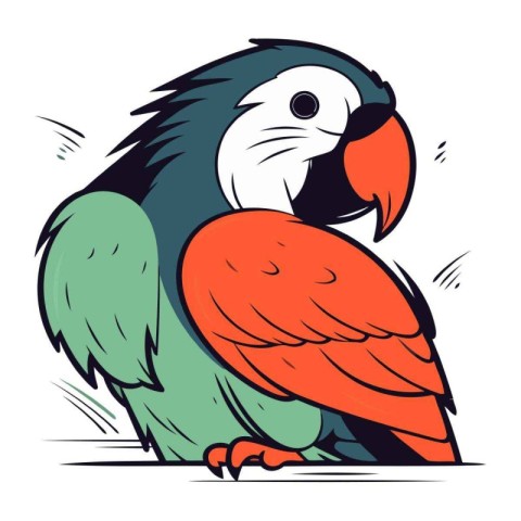 Cute parrot. Vector illustration of a cute parrot.