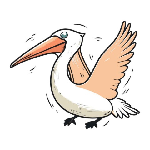 Pelican vector illustration. Cartoon pelican isolated on white b