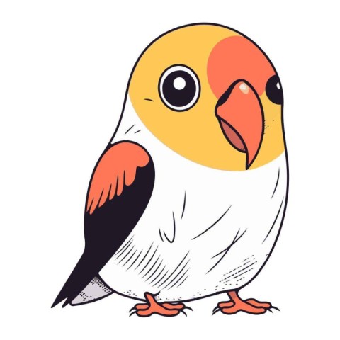 Parrot. Vector illustration of a bird on a white background.