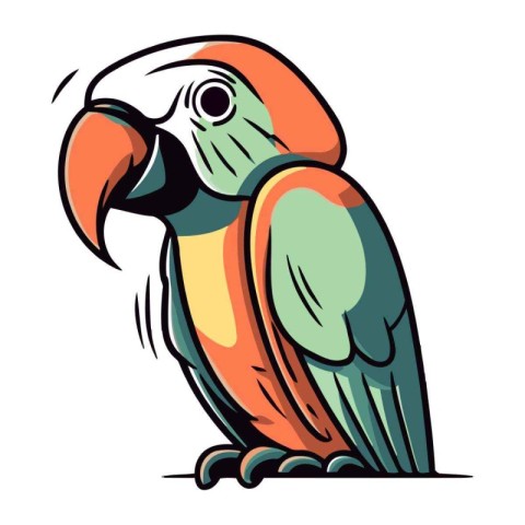 Colorful parrot isolated on a white background. Vector illustrat