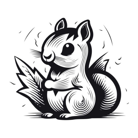 Squirrel with a nut in his paws. Black and white vector illustra