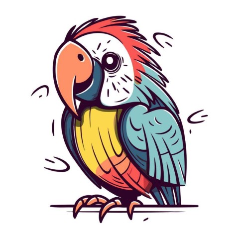 Parrot vector illustration. Isolated parrot on white background.