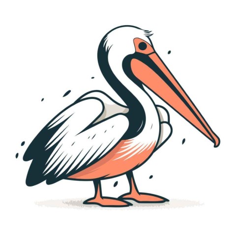 Pelican vector illustration. isolated on white background. Carto