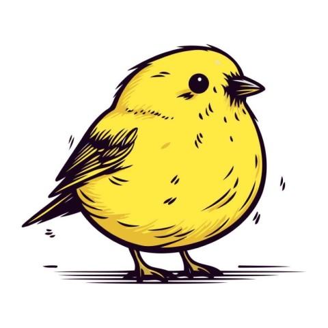 Cute little yellow bird isolated on white background. Vector ill