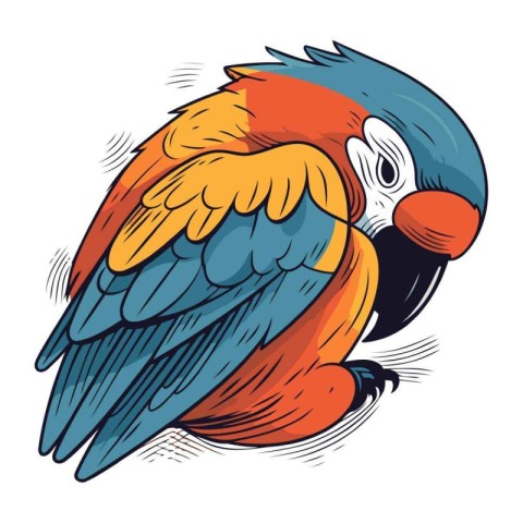 Colorful parrot isolated on white background. Hand drawn vector