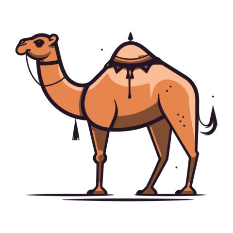 Camel. Vector illustration on white background. Isolated camel.