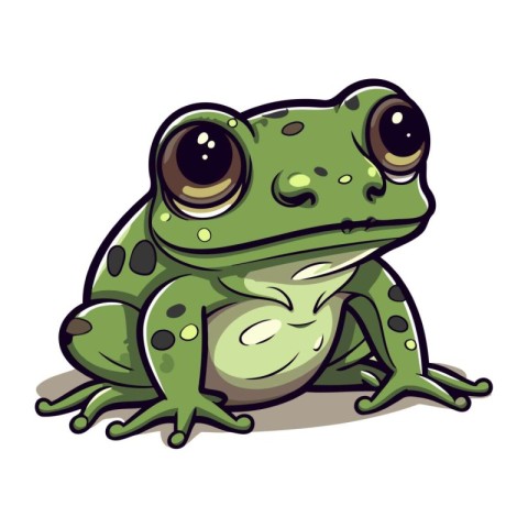 Green frog isolated on a white background. Vector illustration f