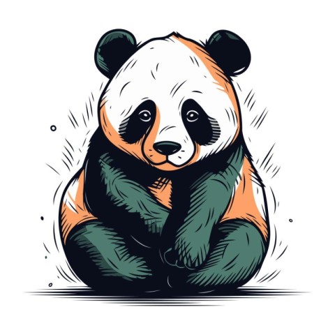 Panda bear vector illustration. Hand drawn panda bear isolated o