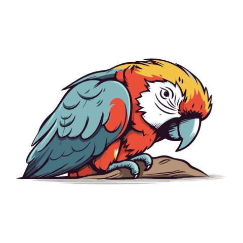 Parrot isolated on white background. Vector illustration in cart