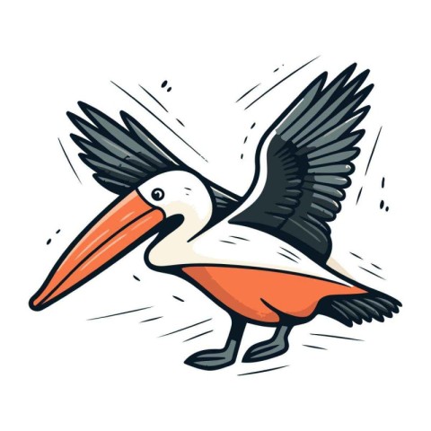 Pelican vector illustration. Hand drawn vector illustration of p