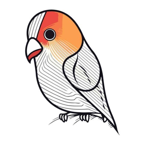 Illustration of a cute parrot bird isolated on a white backgroun