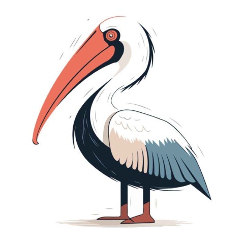 Pelican isolated on white background. Vector hand drawn illustra