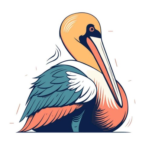 Vector illustration of a pelican on a white background. Cartoon