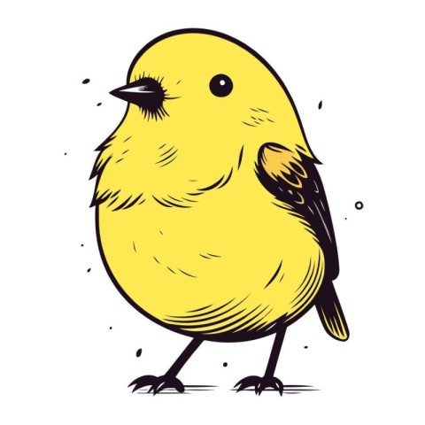 Vector illustration of a cute little yellow bird on a white back