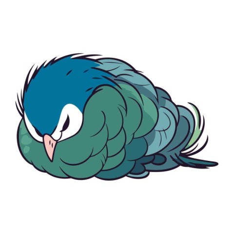 Peacock icon. Cartoon illustration of peacock vector icon for we