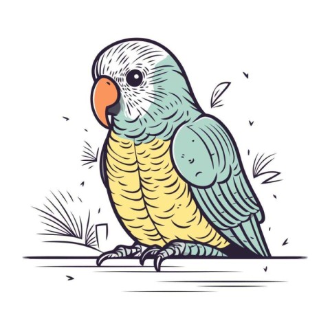 Parrot. Hand drawn vector illustration. Isolated on white backgr