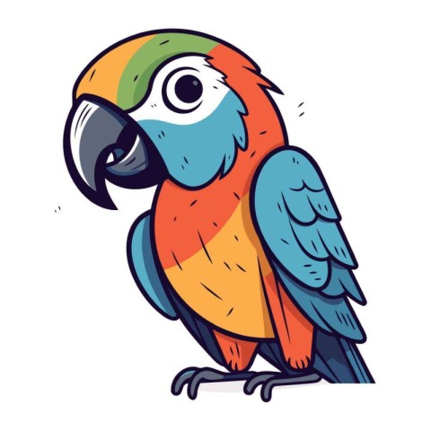 Parrot vector illustration. Isolated parrot on white background.