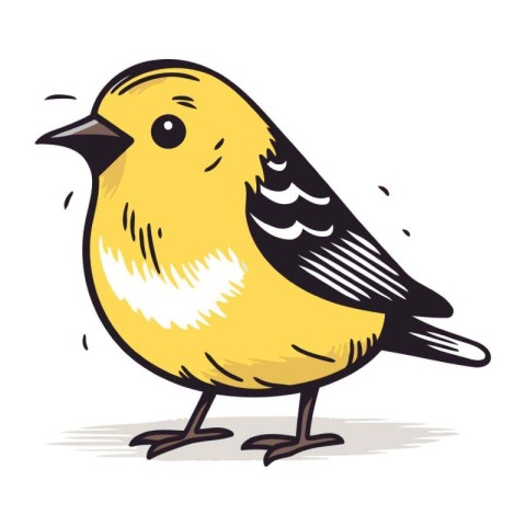 Illustration of a small yellow bird isolated on a white backgrou