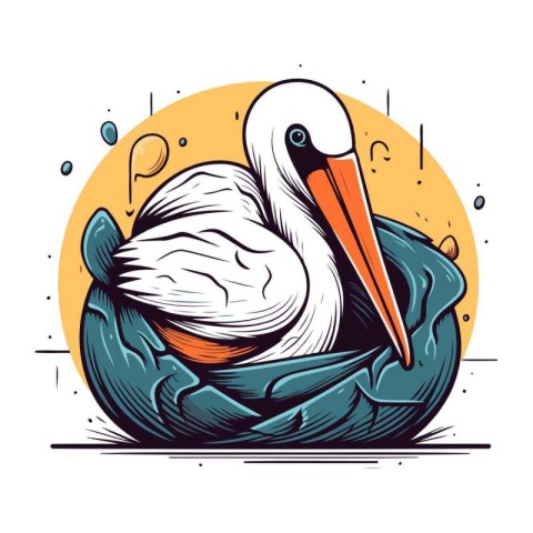 Pelican in a cabbage. Vector illustration on white background.