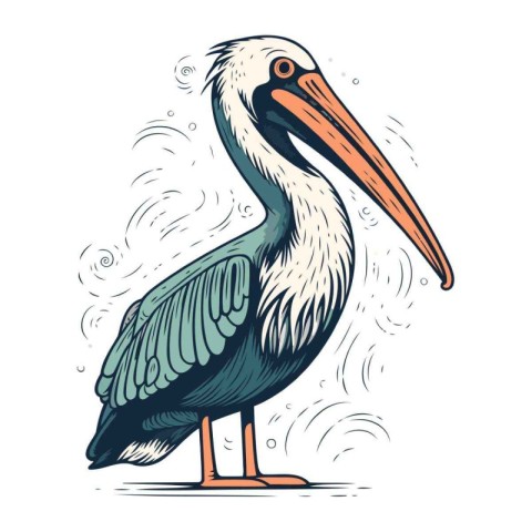 Pelican isolated on white background. Vector hand drawn illustra