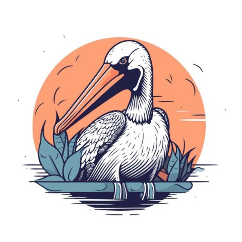 Pelican vector illustration. Hand drawn sketch of pelican.