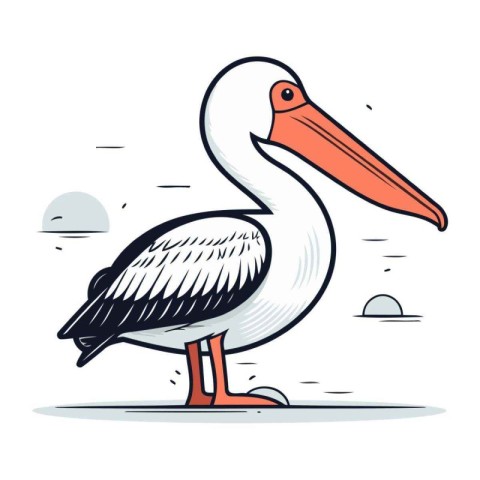 Pelican vector illustration. Cartoon pelican isolated on white b