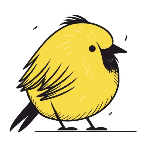 illustration of a yellow bird on a white background. vector illu