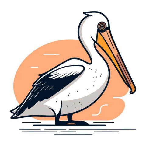 Pelican isolated on white background. Vector illustration in fla