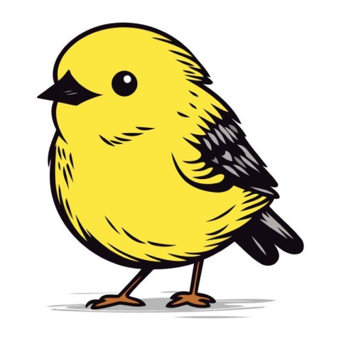 Cute little yellow bird on a white background. Vector illustrati