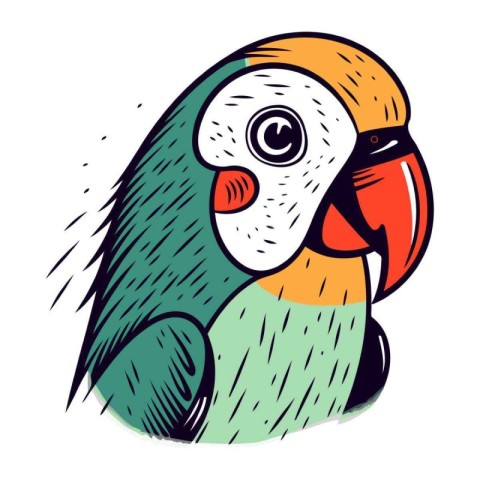 Colorful parrot isolated on a white background. Vector illustrat