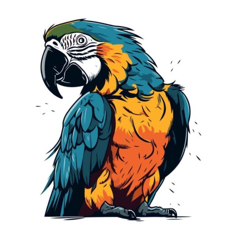 Vector illustration of a macaw parrot isolated on white backgrou