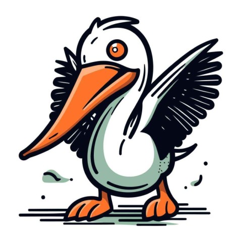 Pelican vector illustration. Isolated pelican on white backgroun