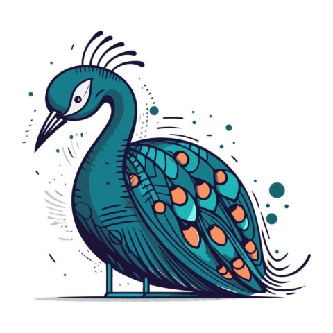 Peacock. Vector illustration. Isolated on white background.