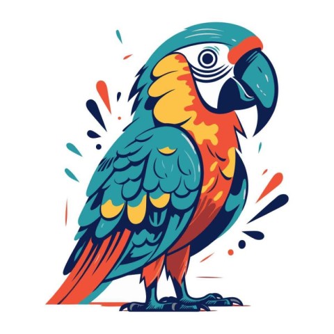 Colorful parrot vector illustration. Isolated on white backgroun