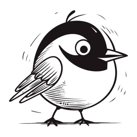 Black and white vector illustration of a cute little bird. titmo