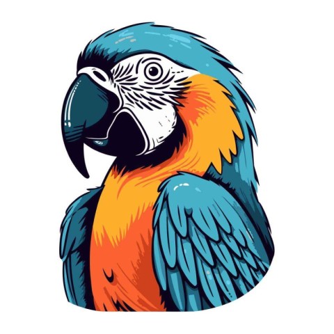 Vector illustration of a colorful parrot isolated on a white bac